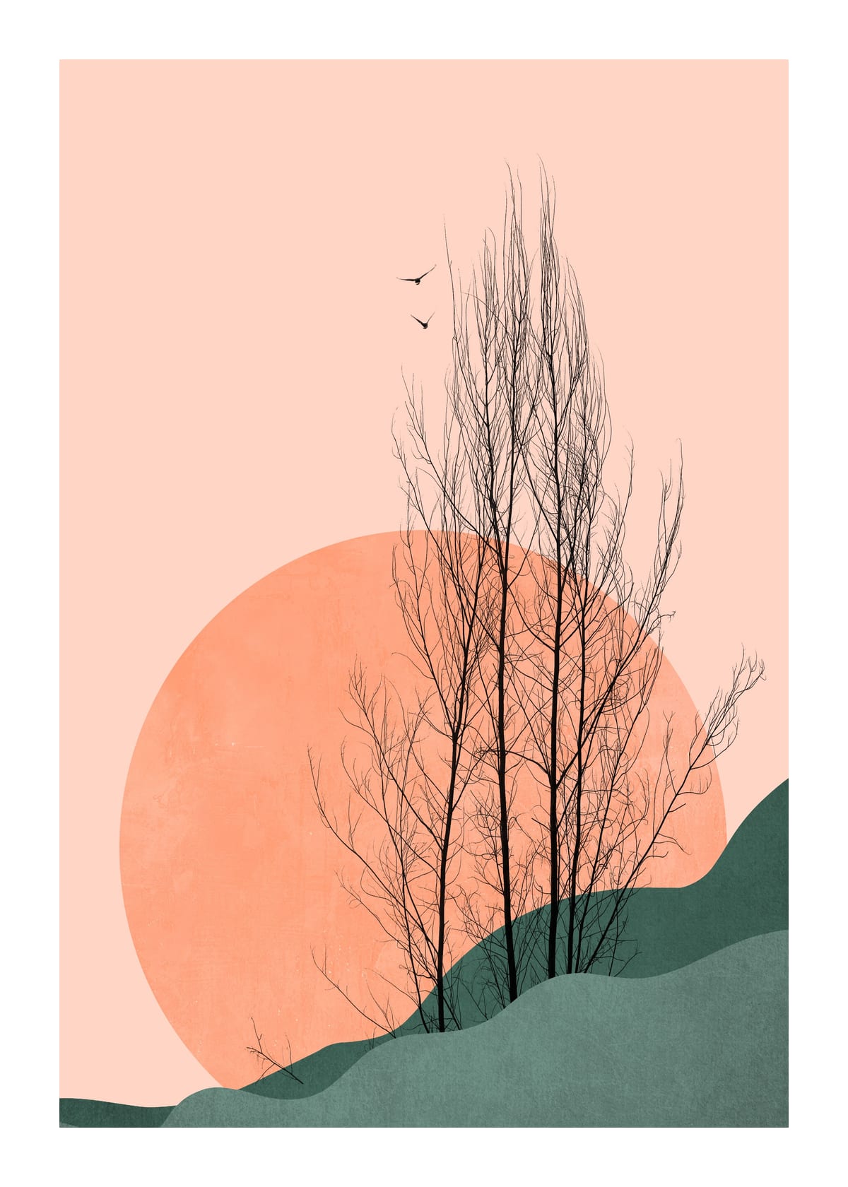 variant-50x70_with-margin