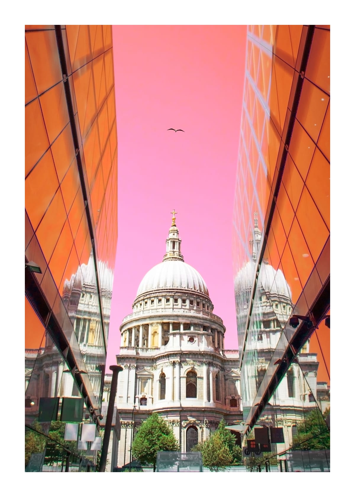 variant-50x70_with-margin