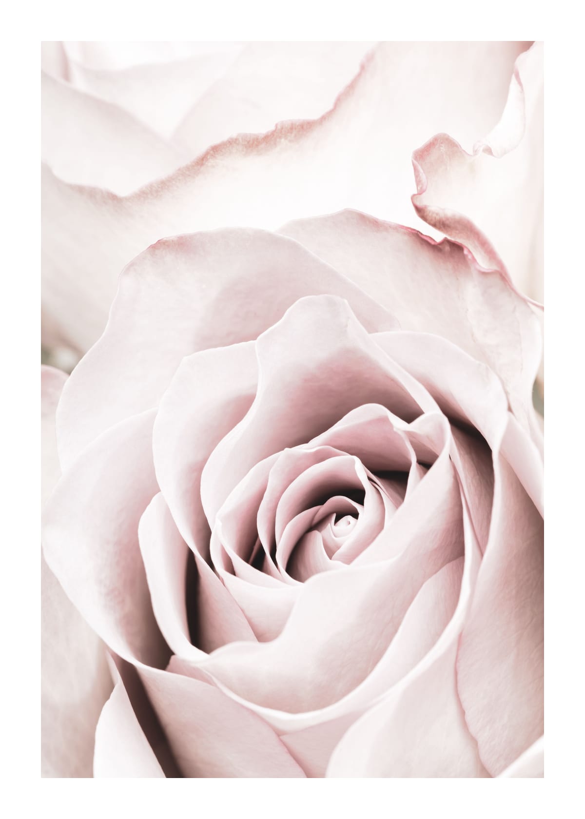 variant-50x70_with-margin