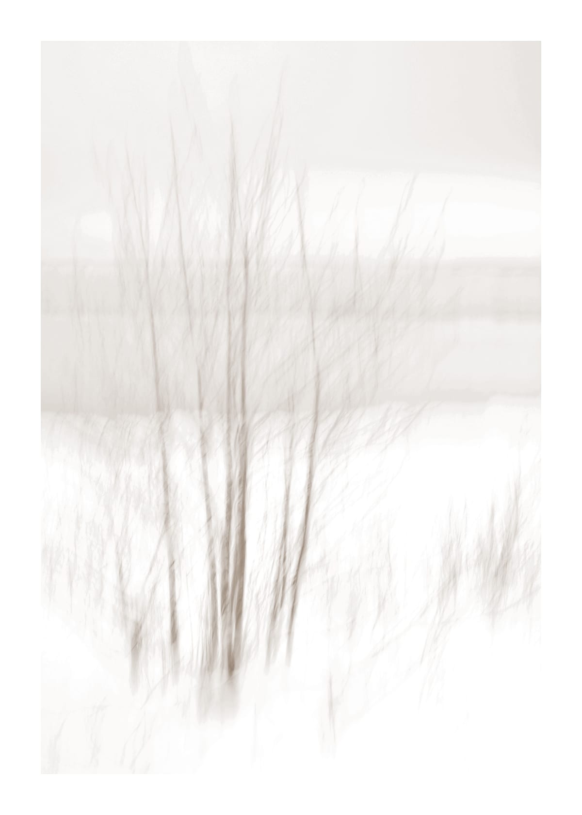 variant-50x70_with-margin