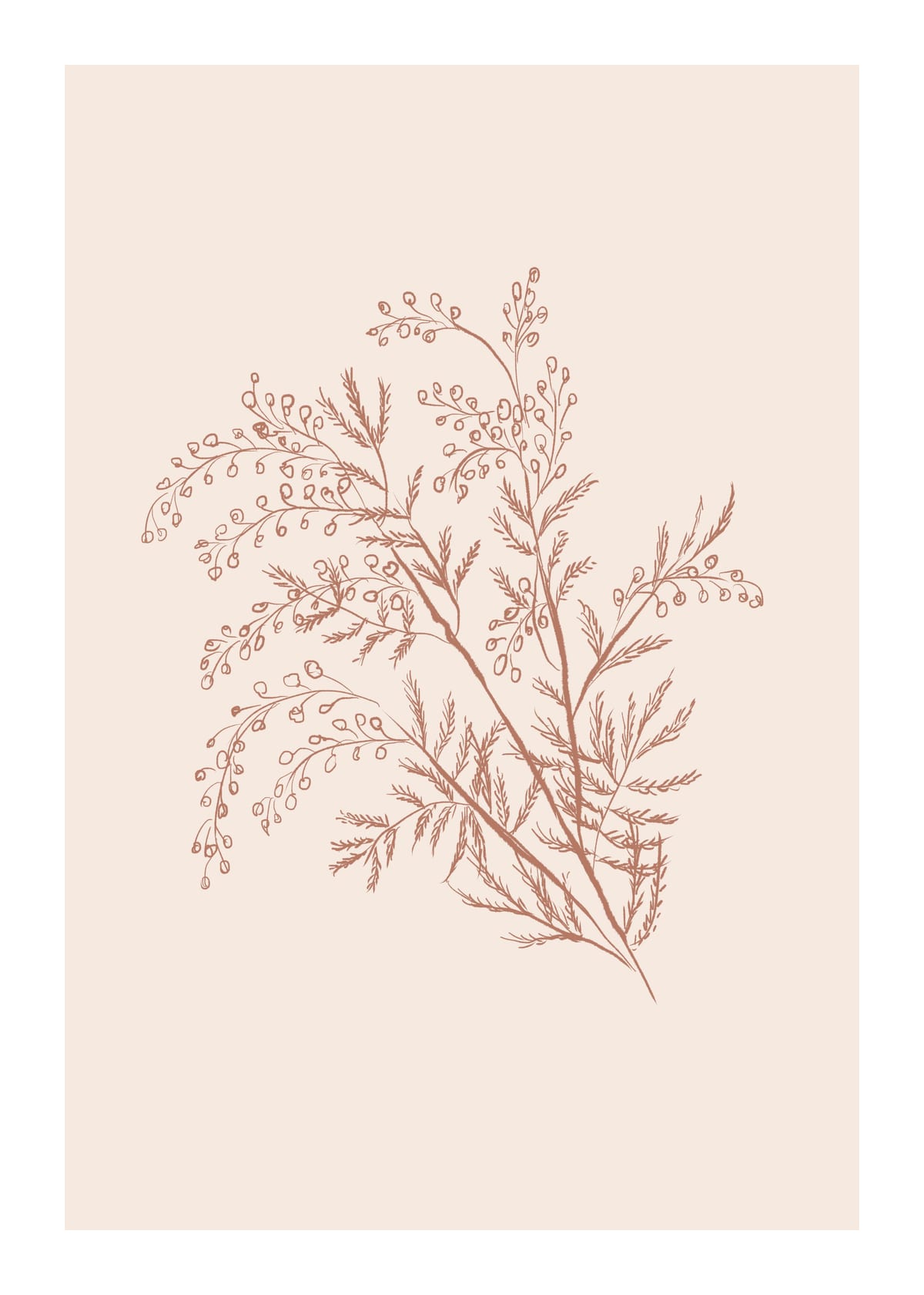 variant-50x70_with-margin