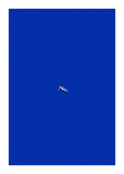 variant-50x70_with-margin