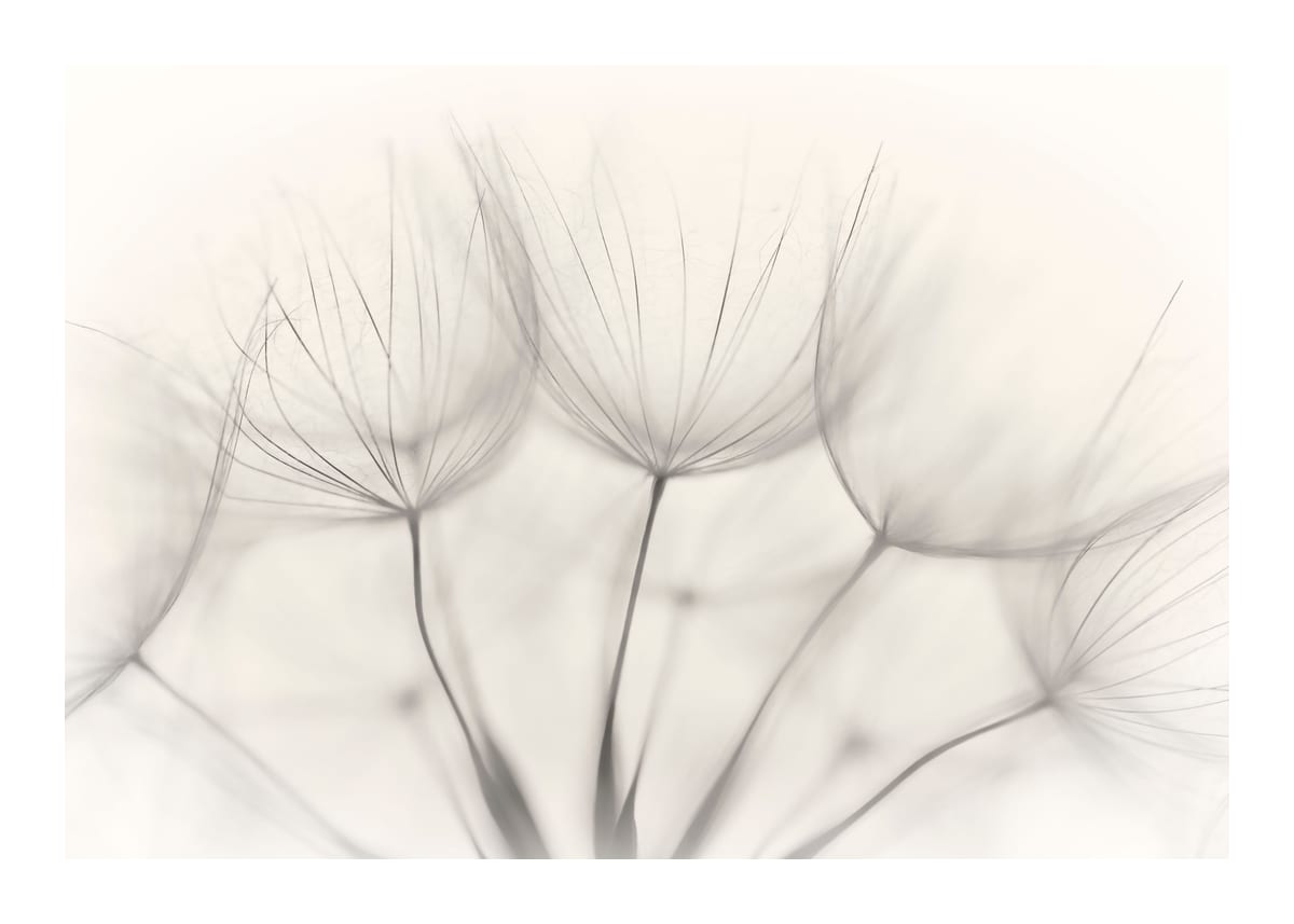 variant-50x70_with-margin