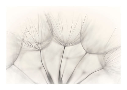 variant-50x70_with-margin