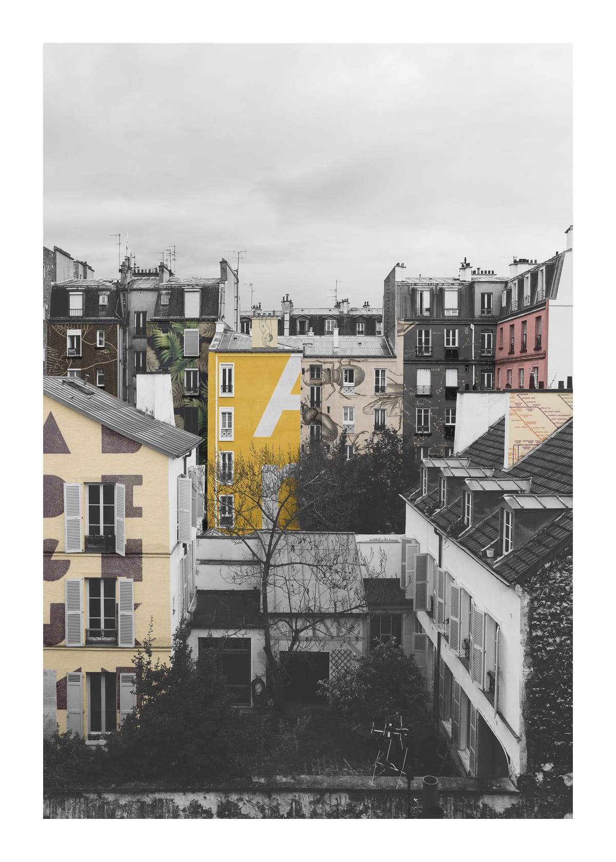 variant-50x70_with-margin
