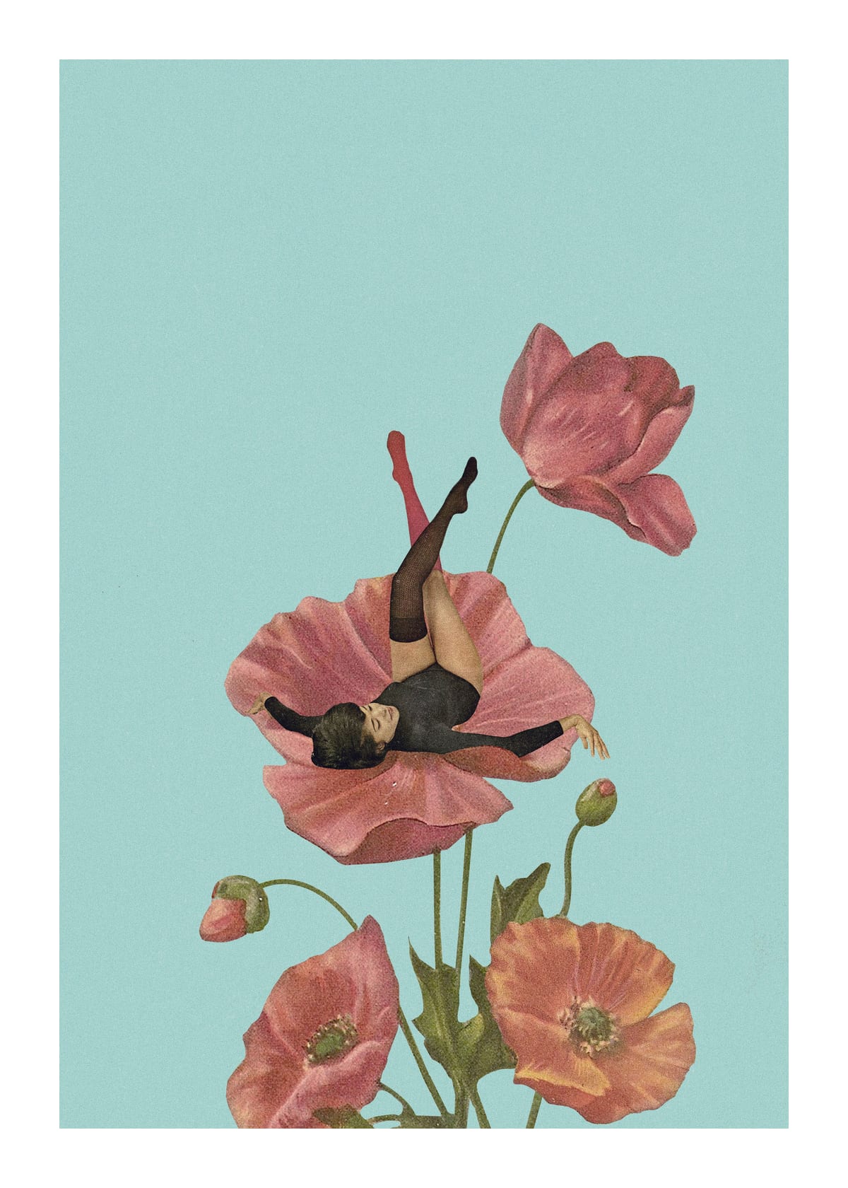 variant-50x70_with-margin