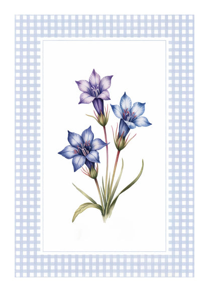 variant-50x70_with-margin