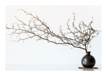 variant-50x70_with-margin