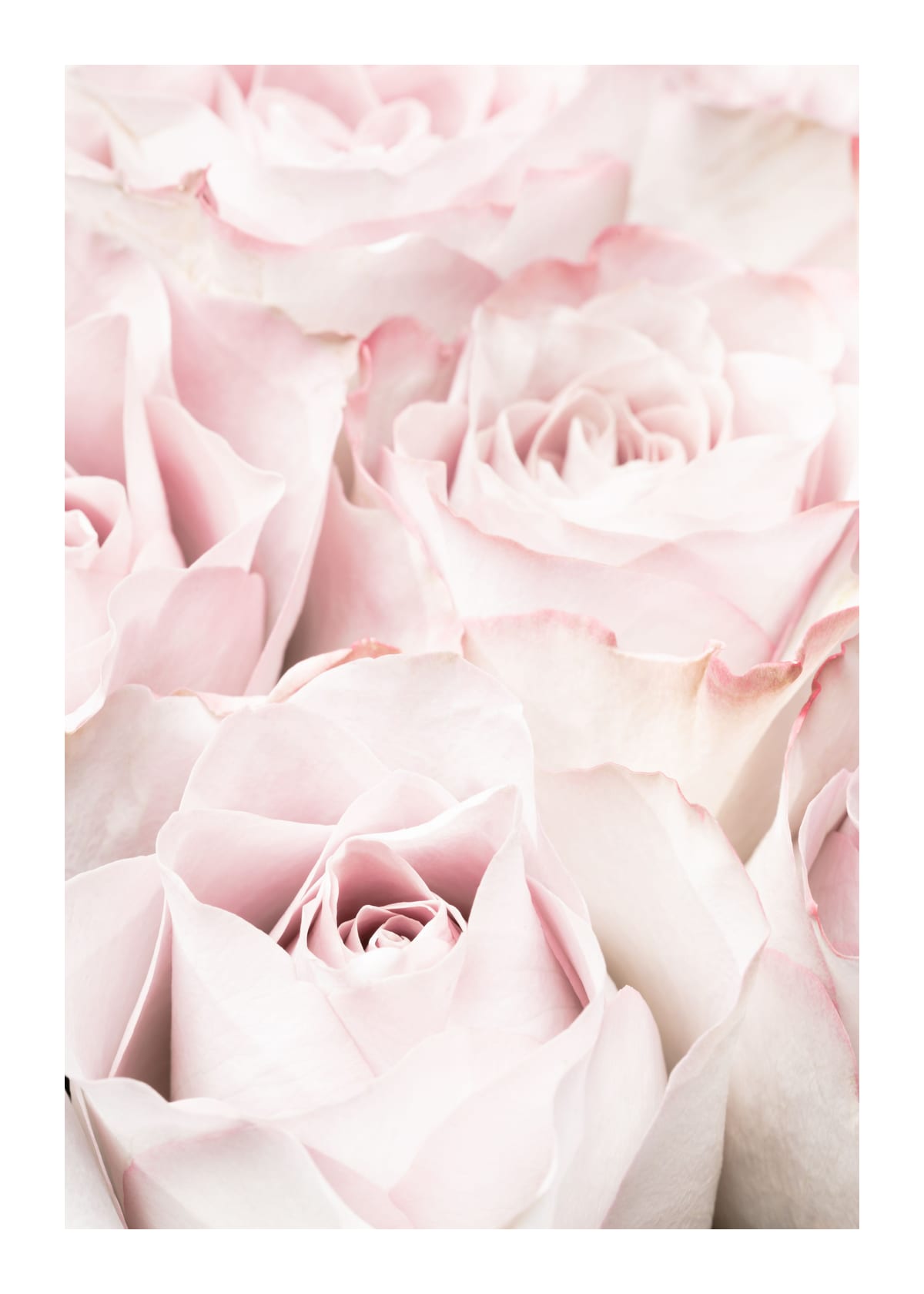 variant-50x70_with-margin