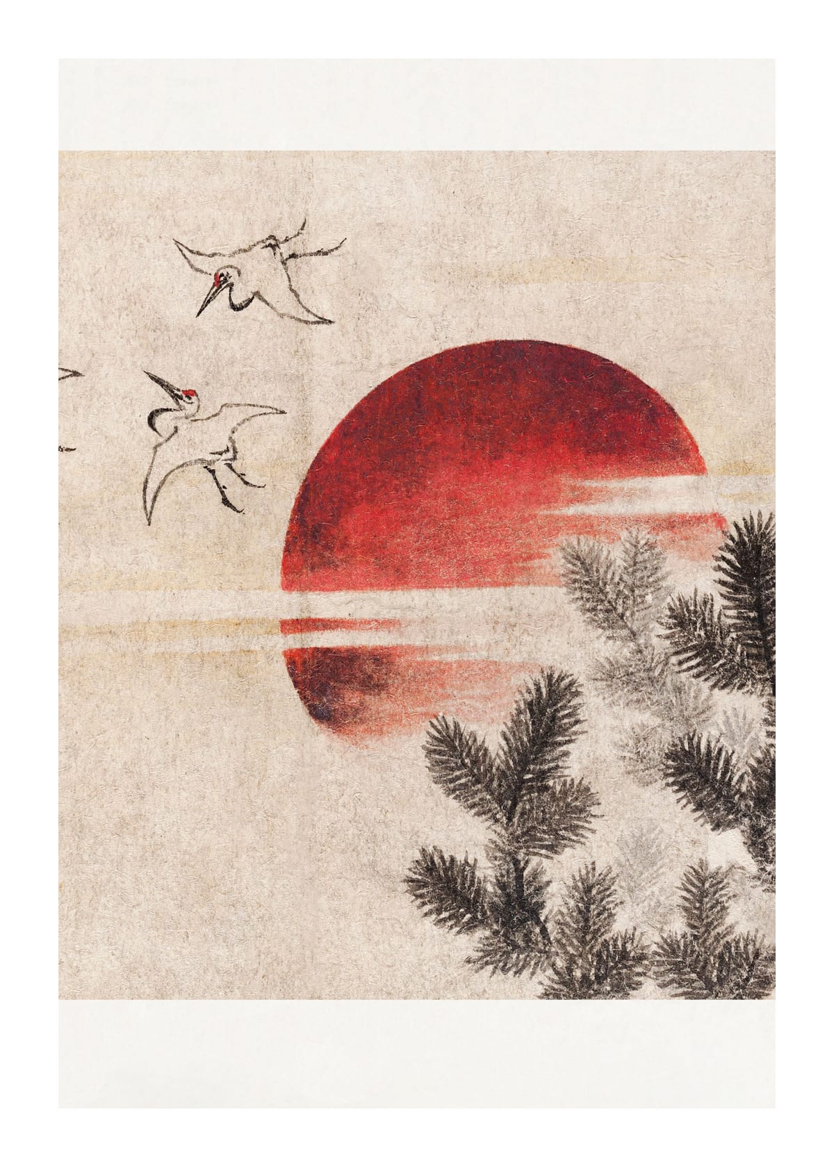 variant-50x70_with-margin