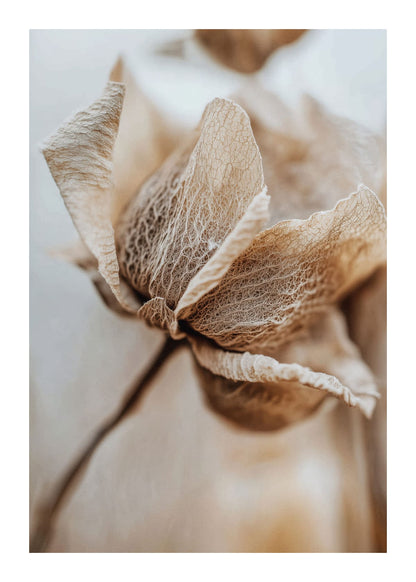 variant-50x70_with-margin