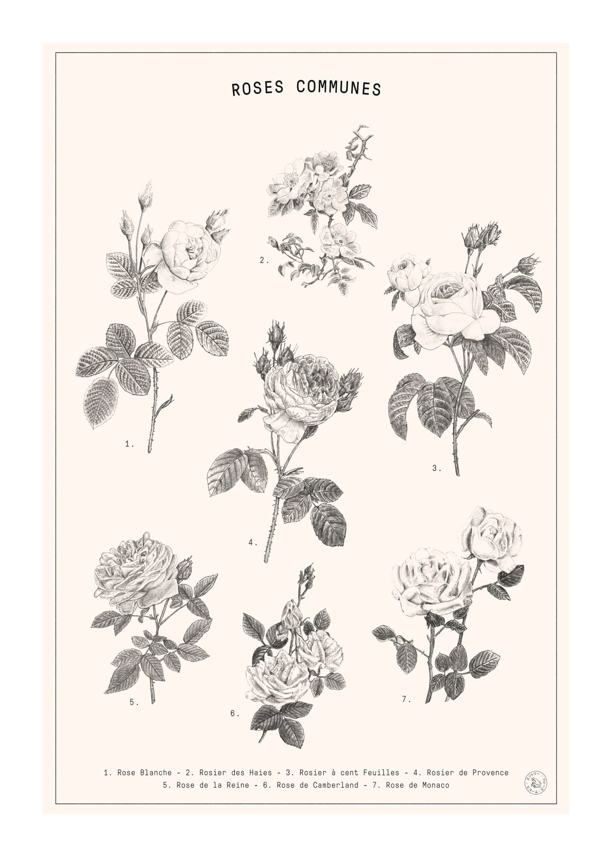 variant-50x70_with-margin