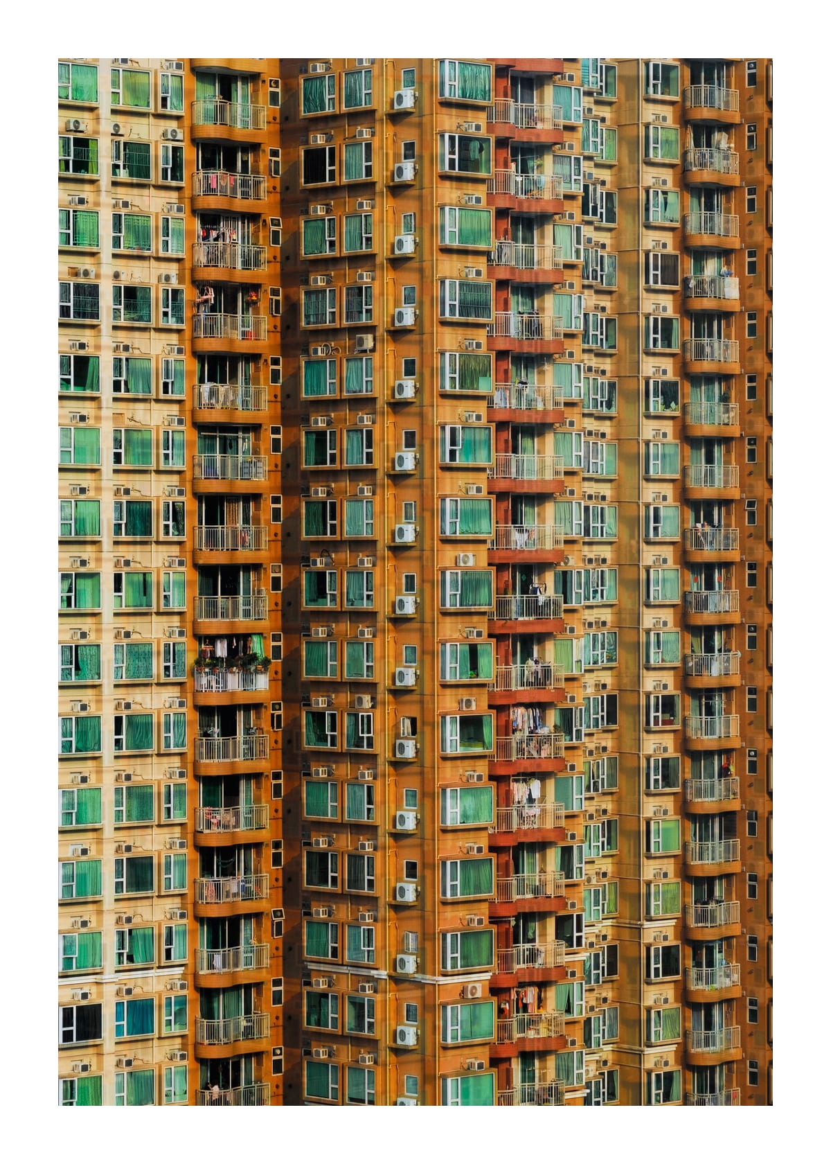 variant-50x70_with-margin