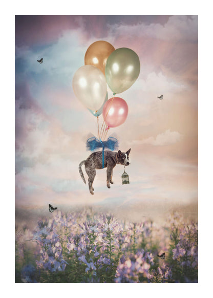 variant-50x70_with-margin