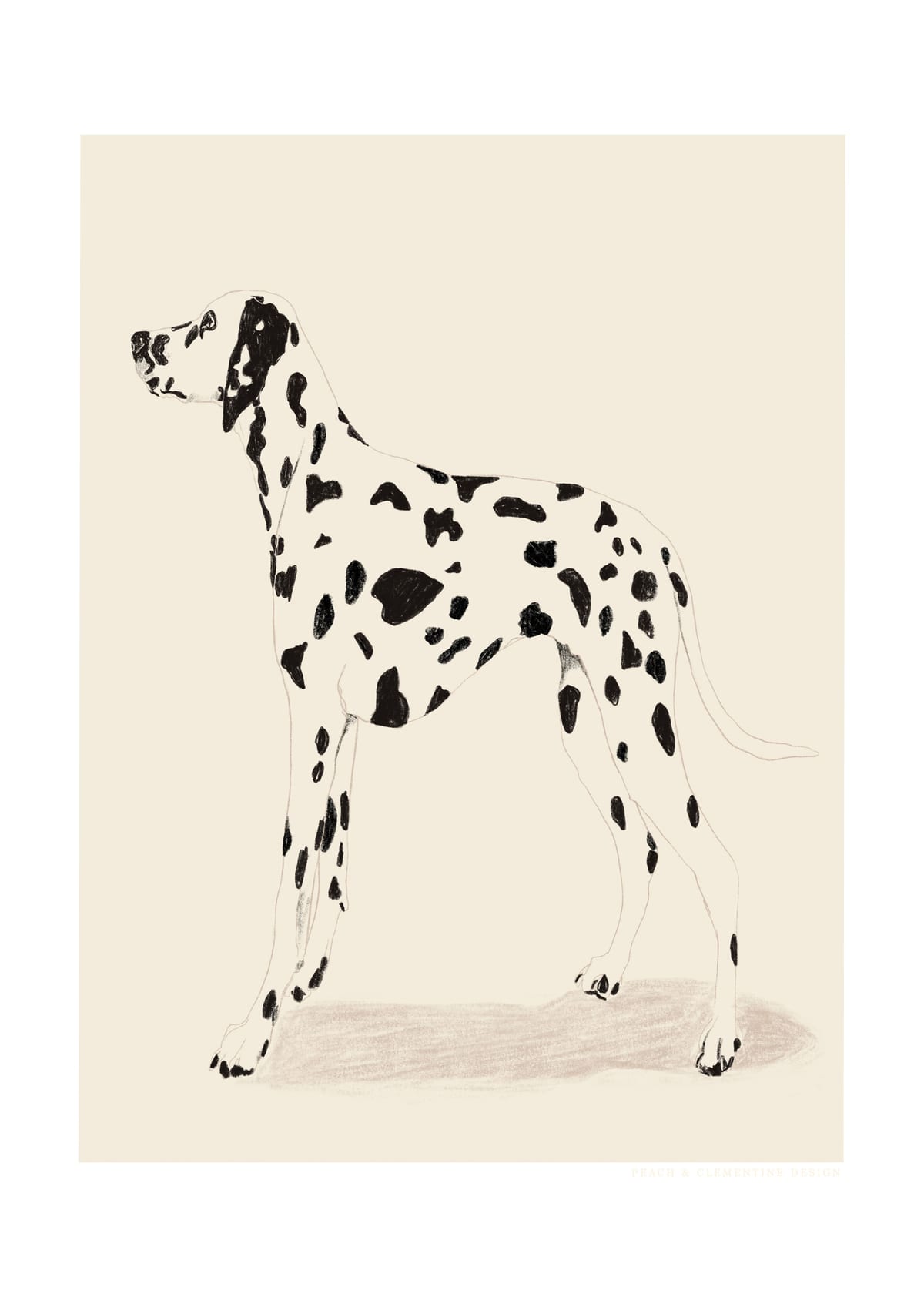 variant-50x70_with-margin