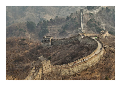 variant-50x70_with-margin