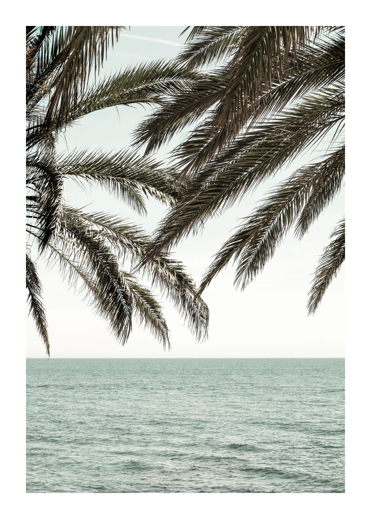 variant-50x70_with-margin