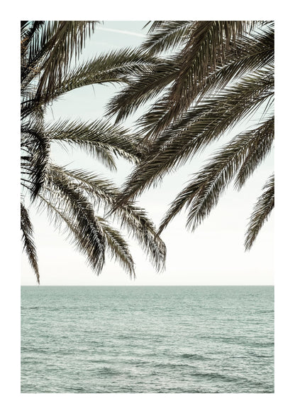variant-50x70_with-margin