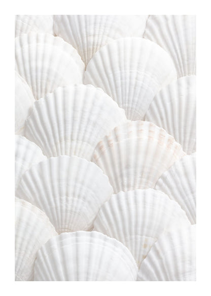 variant-50x70_with-margin