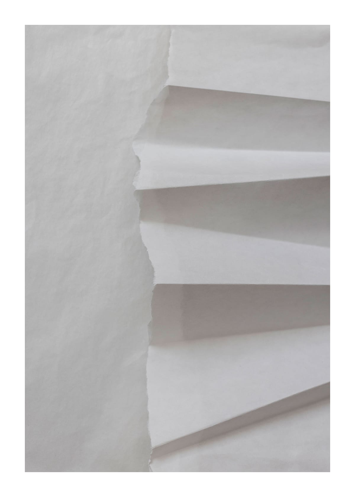 variant-50x70_with-margin