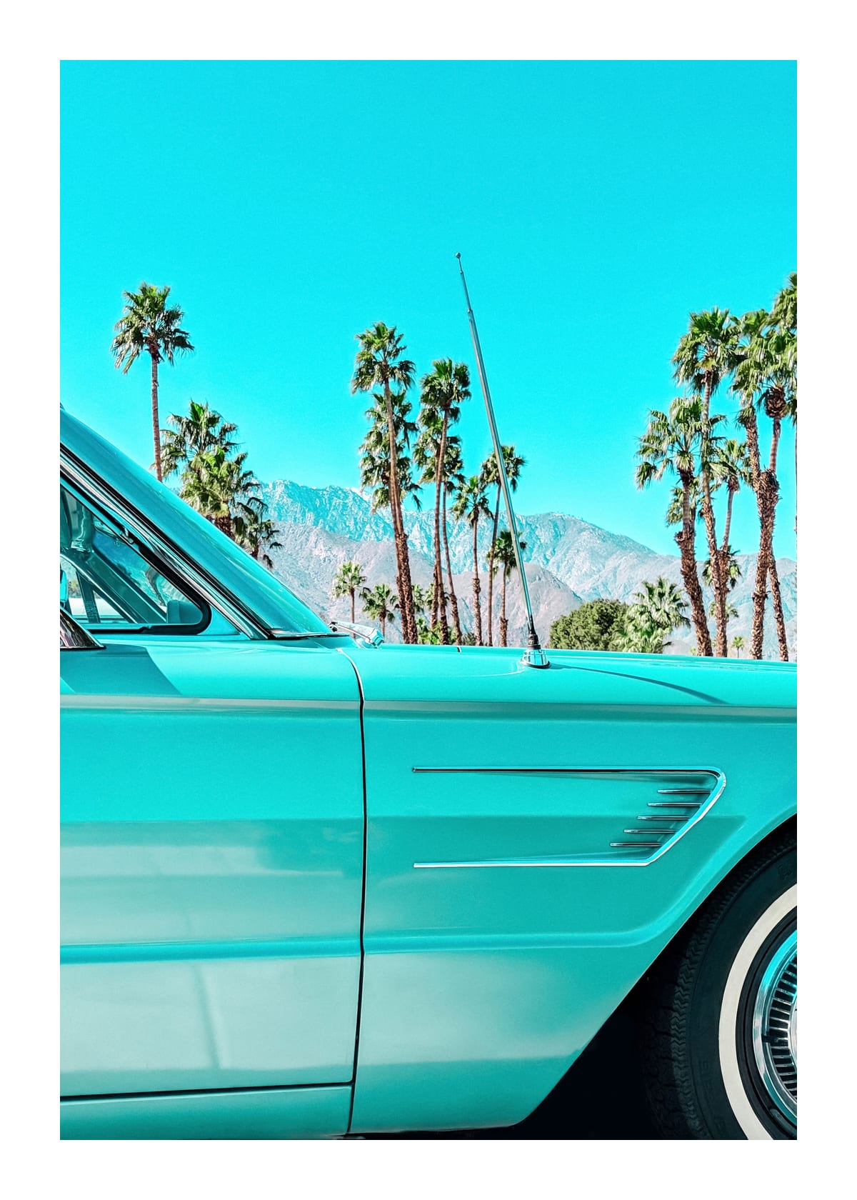 variant-50x70_with-margin