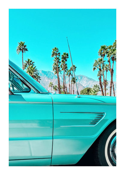 variant-50x70_with-margin
