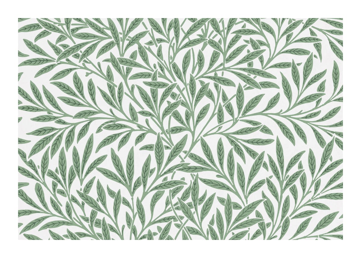 variant-50x70_with-margin