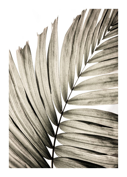 variant-50x70_with-margin