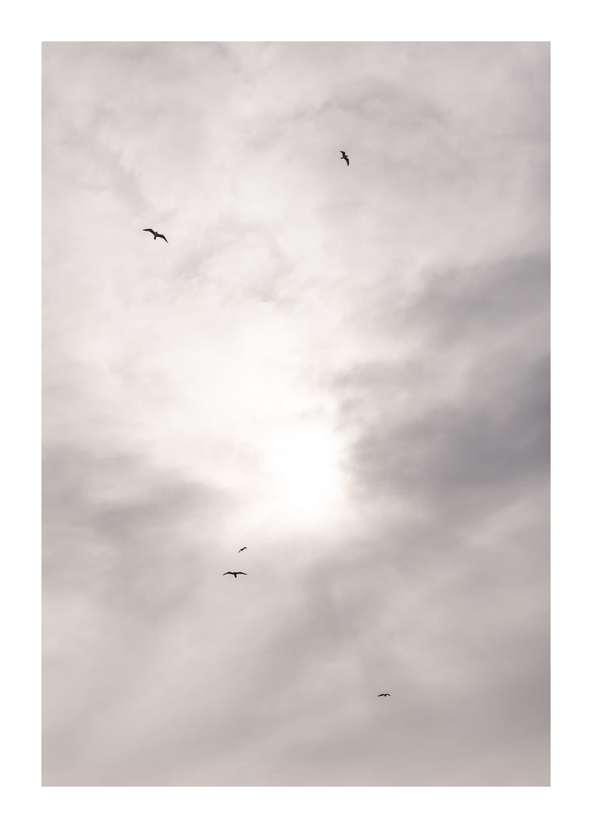 variant-50x70_with-margin