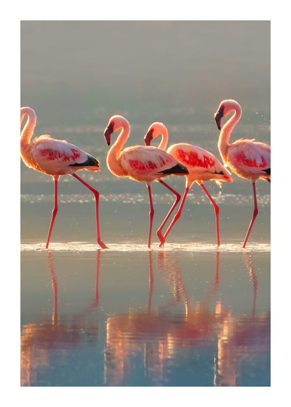 variant-50x70_with-margin