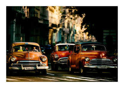 variant-50x70_with-margin