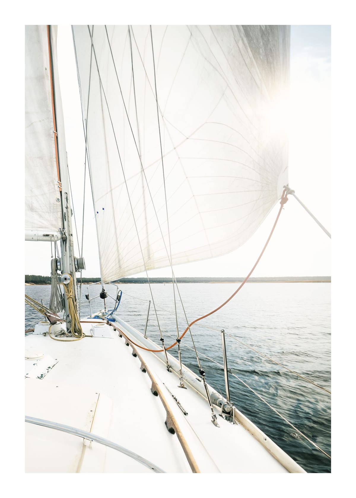 variant-50x70_with-margin