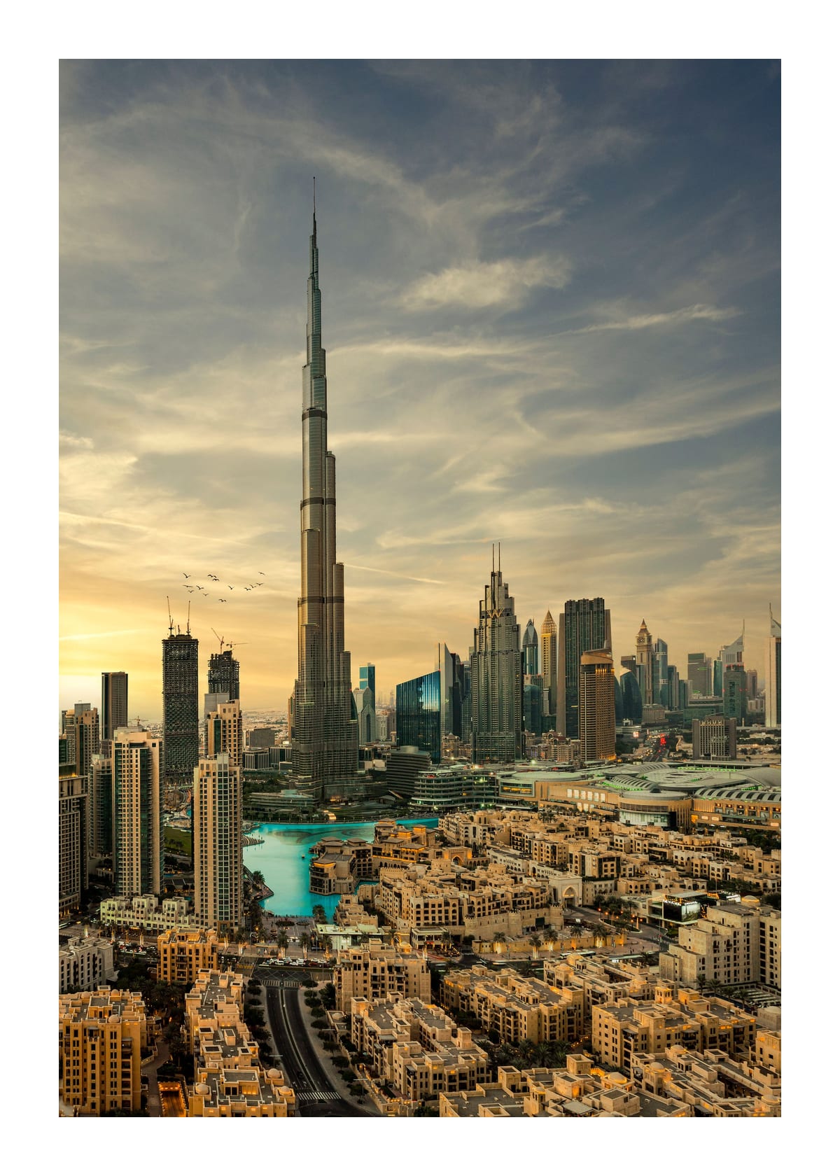variant-50x70_with-margin