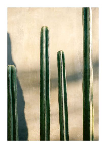 variant-50x70_with-margin