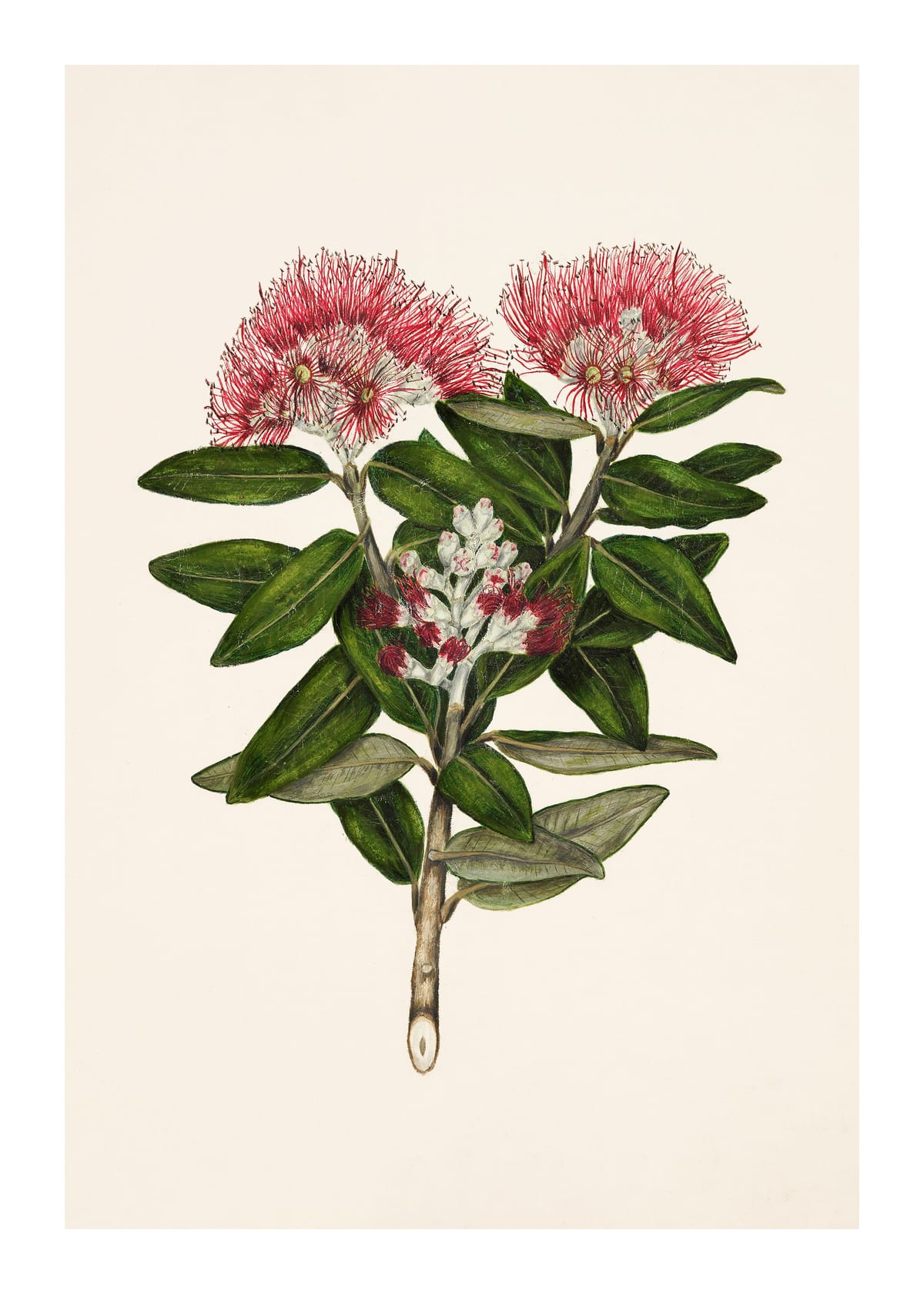 variant-50x70_with-margin