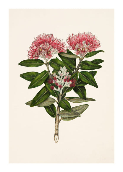 variant-50x70_with-margin