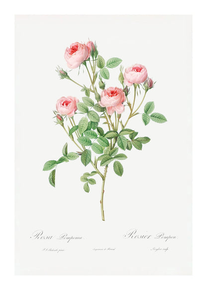 variant-50x70_with-margin