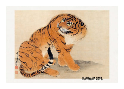 variant-50x70_with-margin