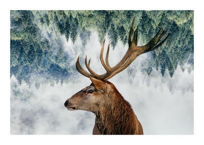 variant-50x70_with-margin