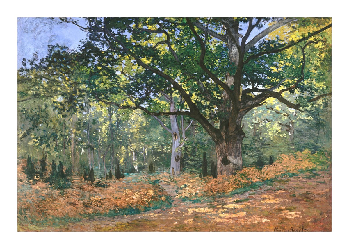 variant-50x70_with-margin