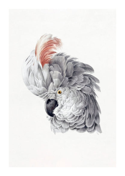 variant-50x70_with-margin
