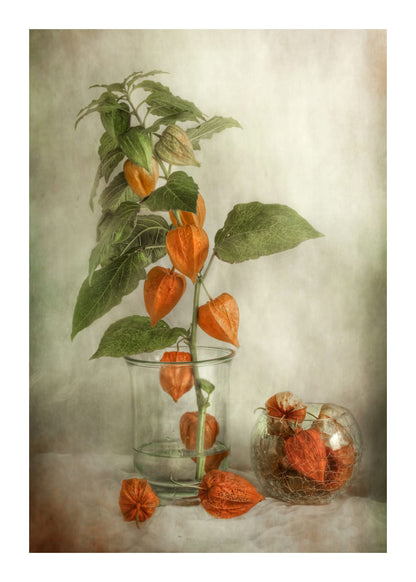 variant-50x70_with-margin