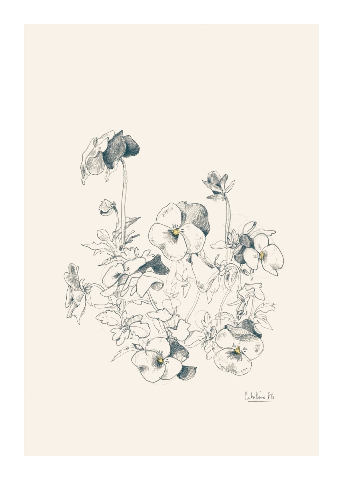 variant-50x70_with-margin