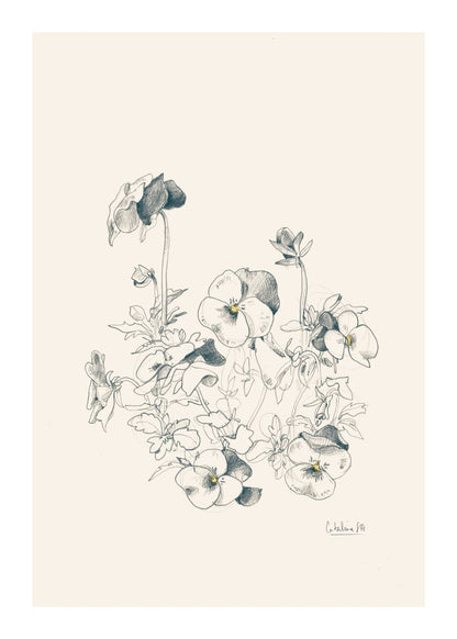 variant-50x70_with-margin