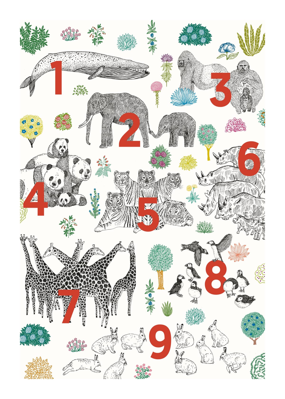 variant-50x70_with-margin