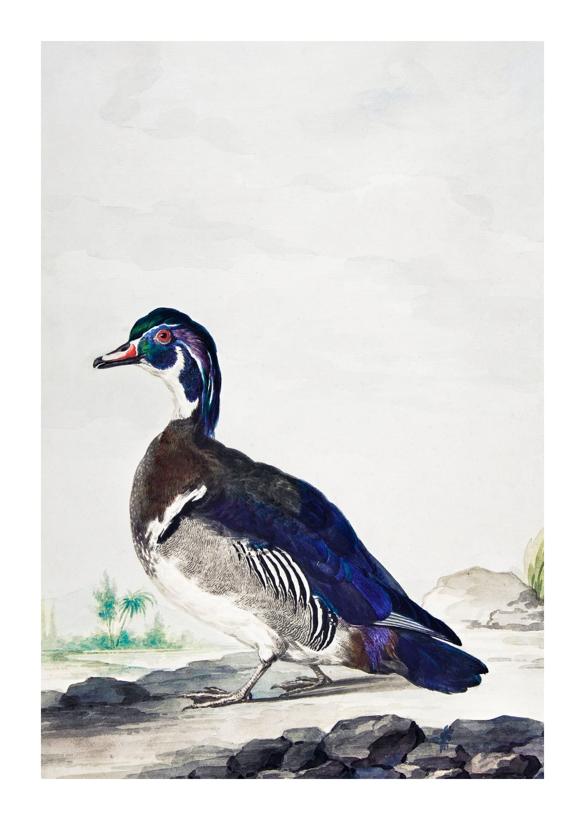 variant-50x70_with-margin