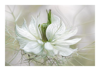 variant-50x70_with-margin