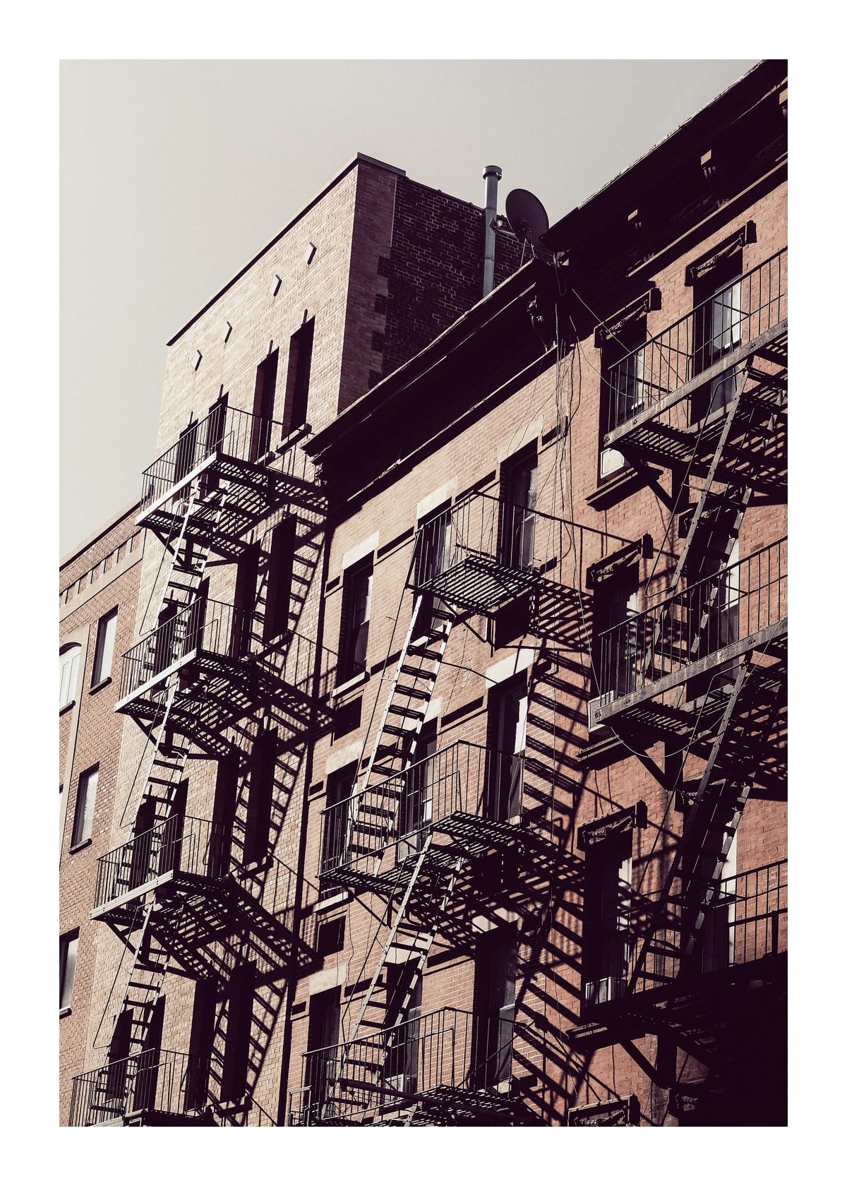variant-50x70_with-margin