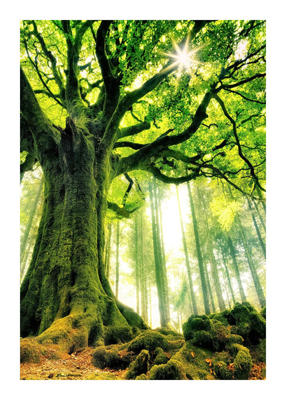 variant-50x70_with-margin