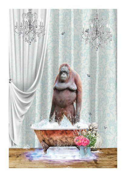 variant-50x70_with-margin